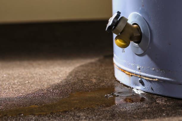 Best Local water damage restoration  in Lyons, WI