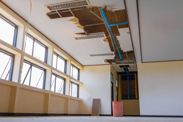 Best Commercial water damage restoration  in Lyons, WI