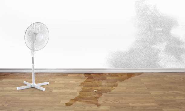 Best 24-hour water damage restoration  in Lyons, WI