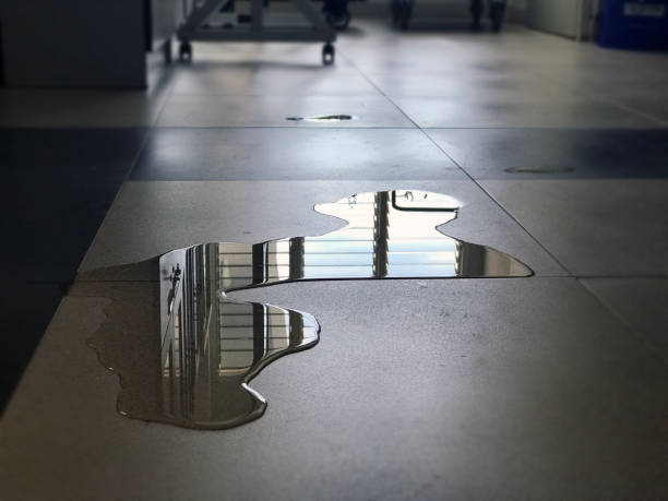 Best Water damage restoration near me  in Lyons, WI