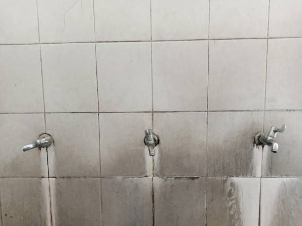 Best Basement water damage restoration  in Lyons, WI