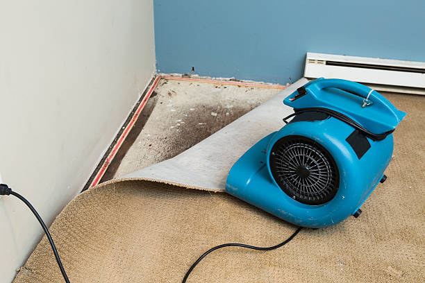 Best Carpet water damage restoration  in Lyons, WI