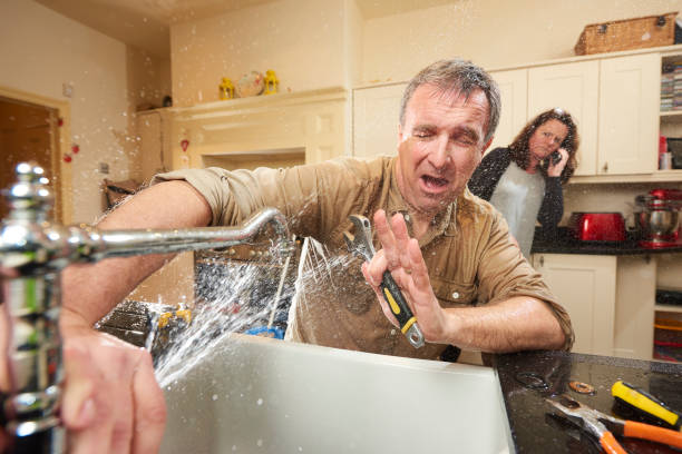 Best Flooded house restoration  in Lyons, WI